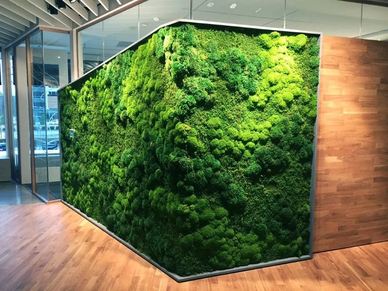 Perete vegetal cu licheni și mușchi stabilizat pentru birou și spații comerciale