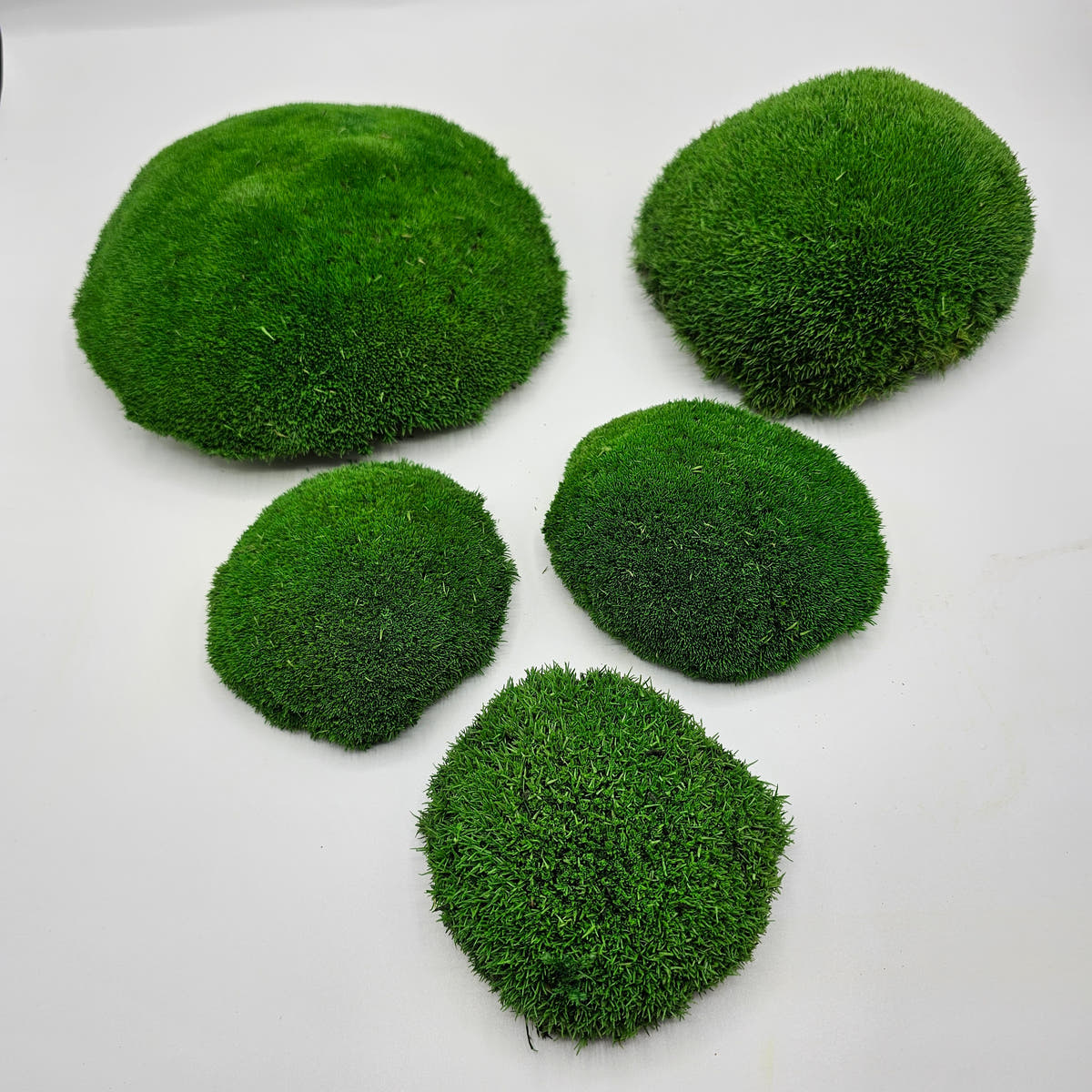 Mușchi Bombat Stabilizat Verde 2 pentru panouri vegetale