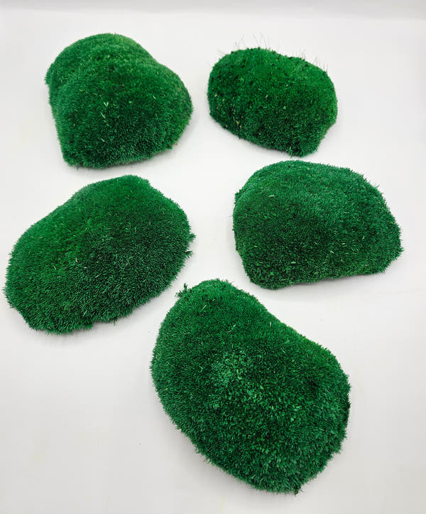 Mușchi Bombat Stabilizat Verde 3 cu volum natural