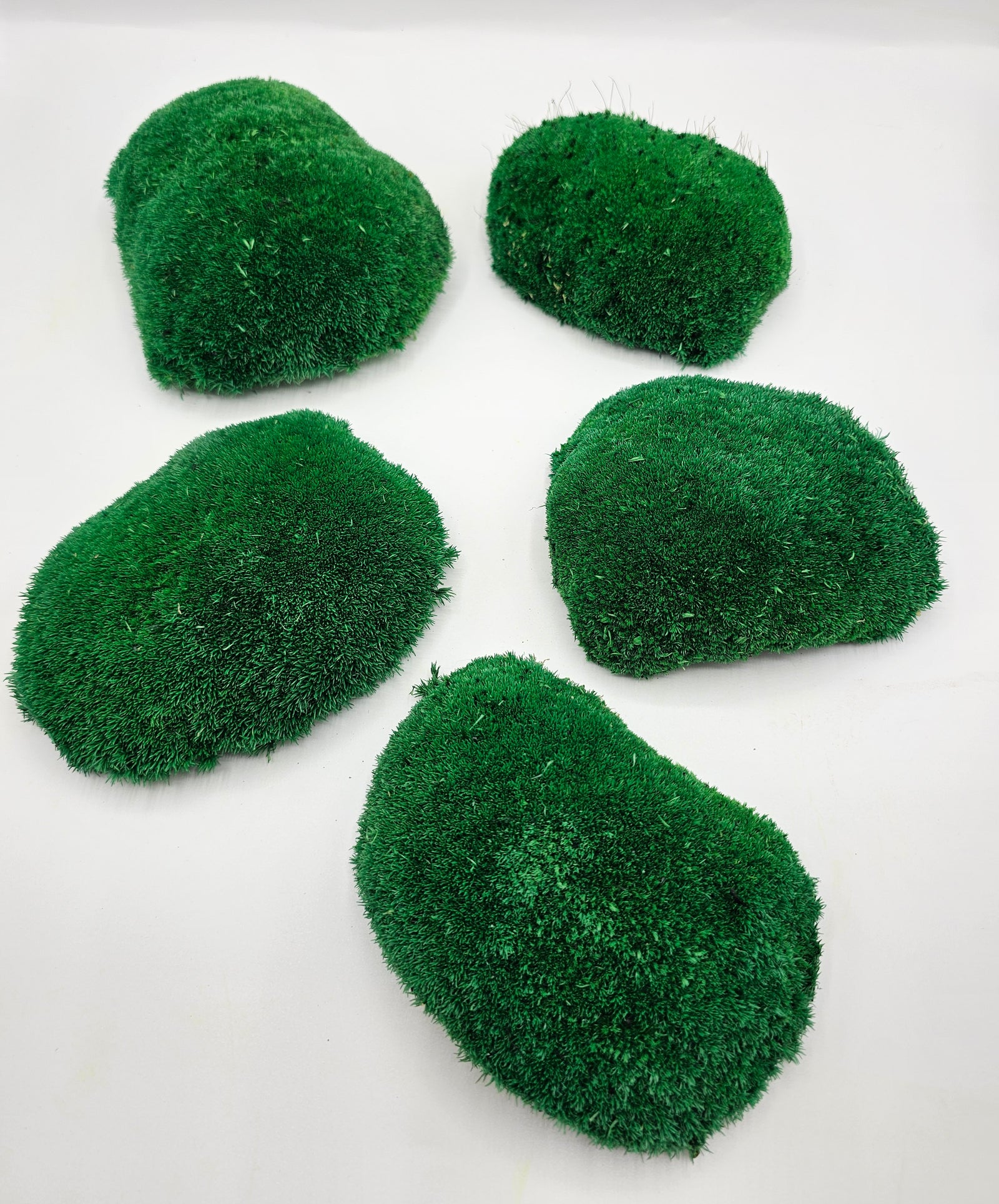 Mușchi Bombat Stabilizat Verde 3 cu volum natural