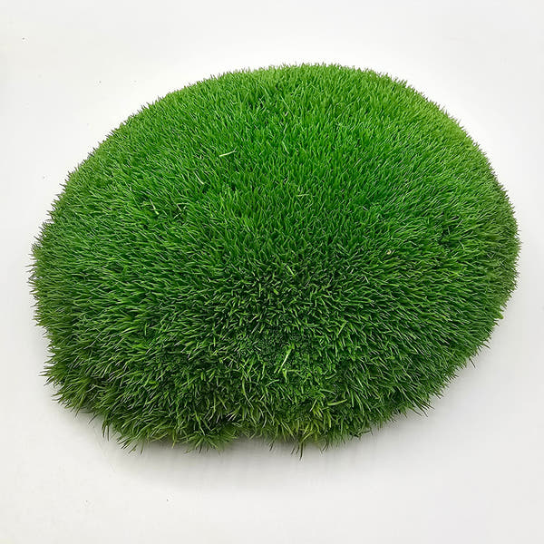 Mușchi Bombat Stabilizat Verde 2