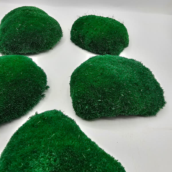 Mușchi Bombat Stabilizat Verde 3