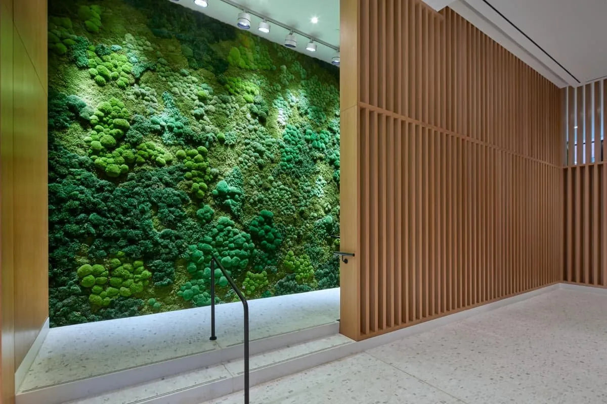 Panou vegetal premium cu muschi si licheni stabilizati intr-un interior modern